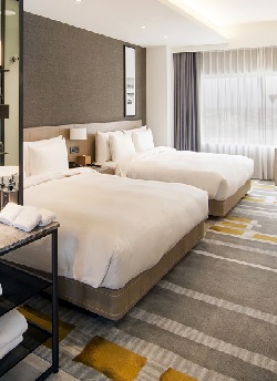 Family Room (approx. 36 sqm) 